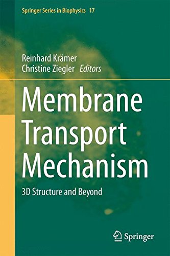 Membrane Transport Mechanism: 3D Structure and Beyond (Springer Series in Biophysics)