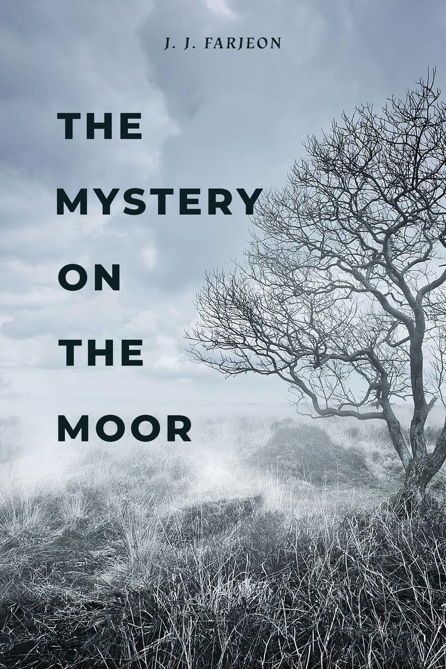 The Mystery on the Moor