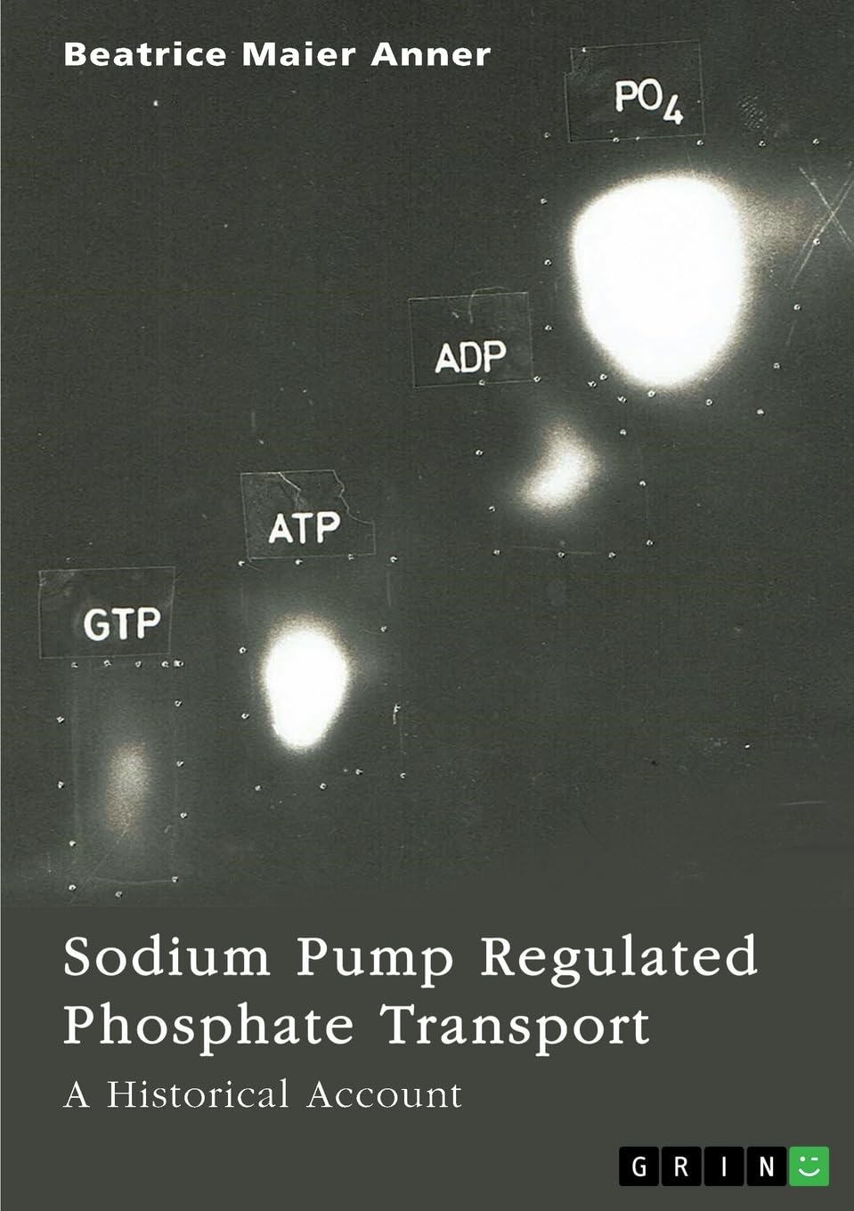 Sodium Pump Regulated Phosphate Transport: A Historical Account