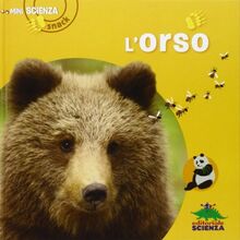 L'orso
