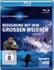 Discovery HD: Jeff Corwin - Begegnung mit dem großen Weißen Hai [Blu-ray]