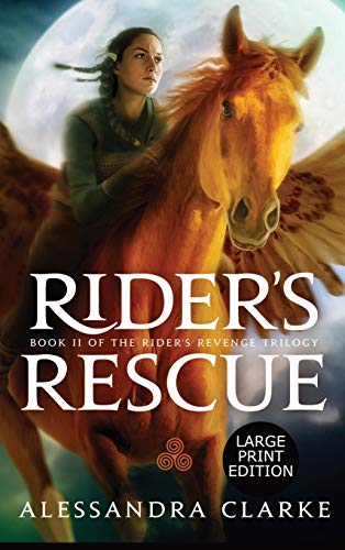 Rider's Rescue (Rider's Revenge Trilogy, Band 2)