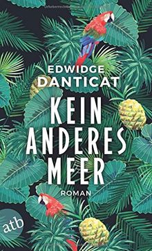 Kein anderes Meer: Roman