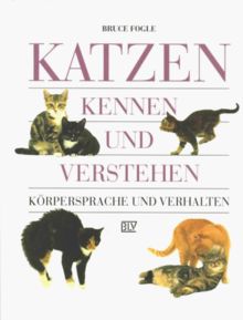 Katzen kennen und verstehen. Körpersprache und Verhalten