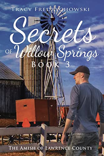Secrets of Willow Springs - Book 3: The Amish of Lawrence County