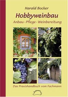 Hobbyweinbau