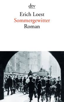 Sommergewitter: Roman