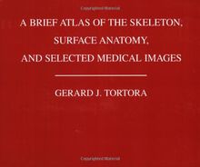 A Brief Atlas of the Human Skeleton, Surface Anatomy and Selected Medical Images