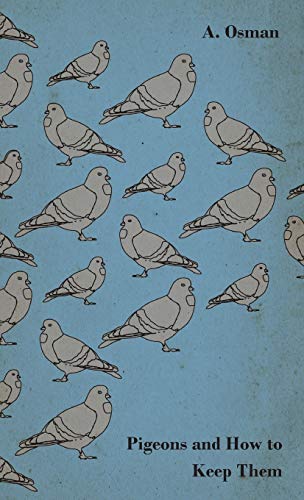 Pigeons and How to keep them