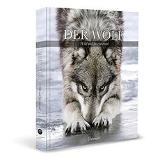 Der Wolf: Wild und faszinierend