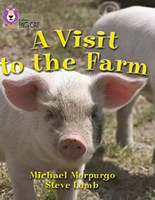A Visit to the Farm: This non-fiction book describes Sam’s experience of swapping the city for the farm. (Collins Big Cat)