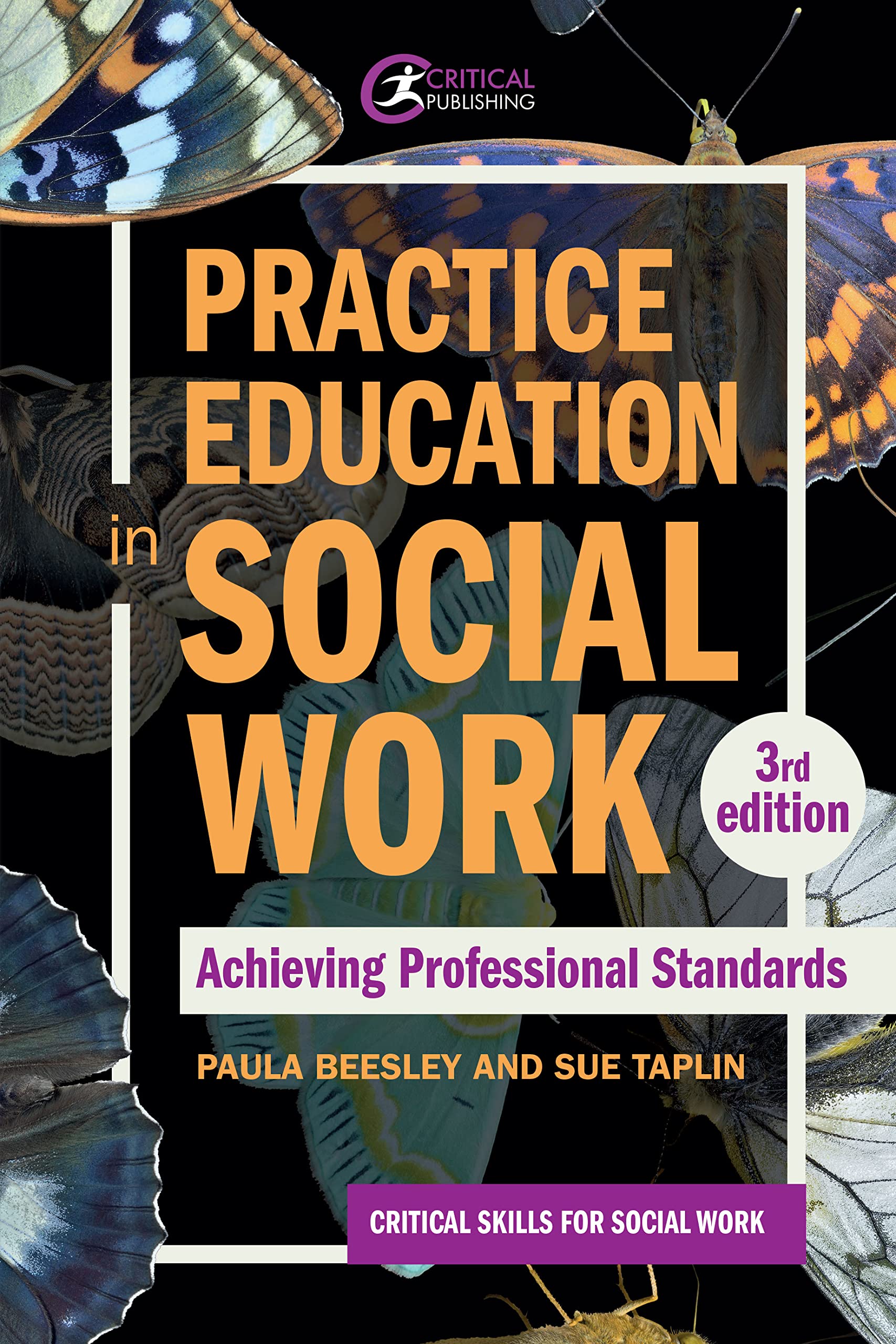 Practice Education in Social Work: Achieving Professional Standards (Critical Skills for Social Work)