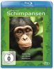 Schimpansen [Blu-ray]