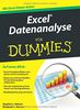 Excel Datenanalyse für Dummies