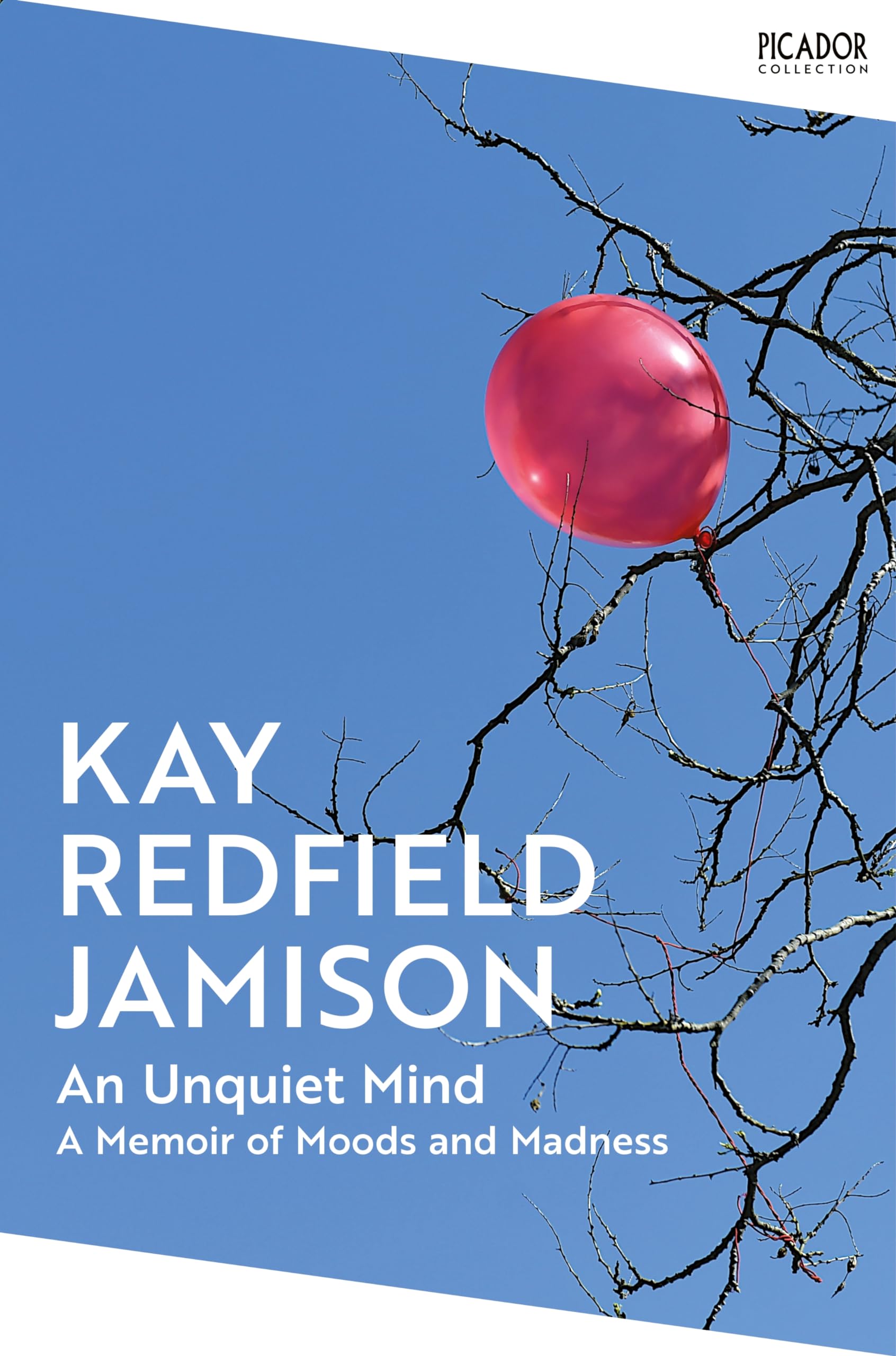 Jamison, Kay Redfield An Unquiet Mind, A Memoir Of Moods And Madness (Picador Collection, Band 130)