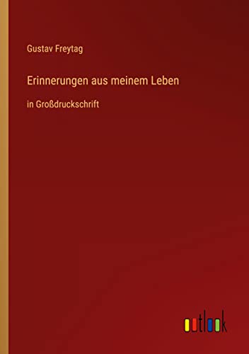 Erinnerungen aus meinem Leben: in Großdruckschrift