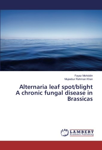 Alternaria leaf spot/blight A chronic fungal disease in Brassicas