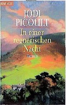 In einer regnerischen Nacht (Blanvalet Taschenbuch)