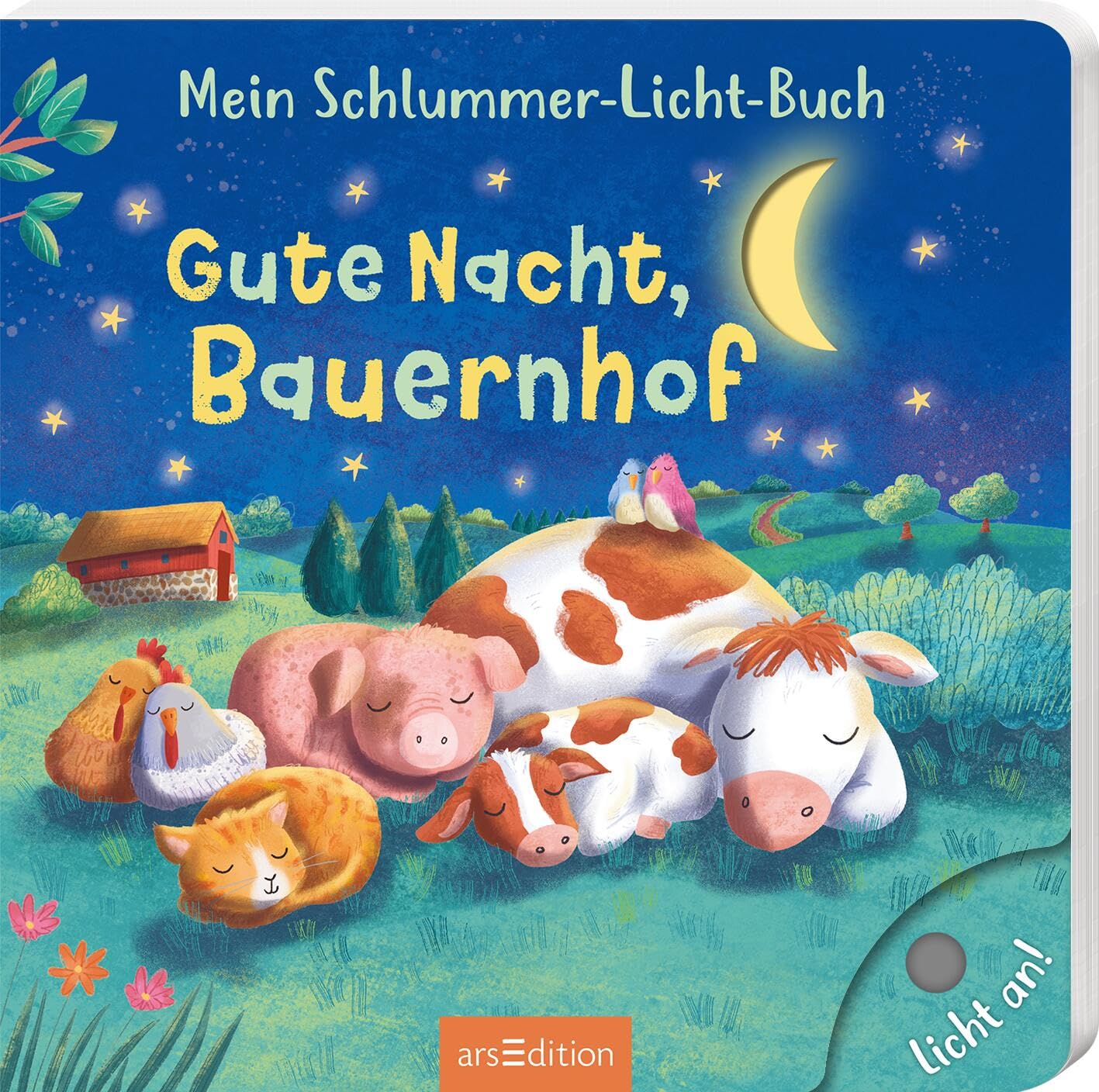 Mein Schlummer-Licht-Buch: Gute Nacht, Bauernhof: Mit LED-Lichtern | Liebevolles Einschlafbuch mit Licht und ersten Reimen für Kinder ab 18 Monaten