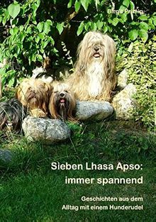 Sieben Lhasa Apso: immer spannend: Geschichten aus dem Alltag mit einem Hunderudel