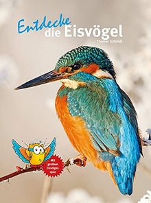 Entdecke die Eisvögel (Entdecke - Die Reihe mit der Eule / Kindersachbuchreihe)