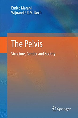 The Pelvis: Structure, Gender and Society