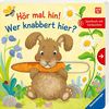 Hör mal hin! Wer knabbert hier?