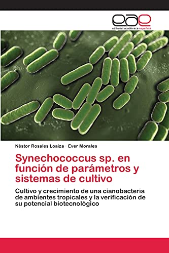 Synechococcus sp. en función de parámetros y sistemas de cultivo: Cultivo y crecimiento de una cianobacteria de ambientes tropicales y la verificación de su potencial biotecnológico