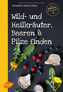 Wild- und Heilkräuter, Beeren und Pilze finden: Der Blitzkurs für Einsteiger