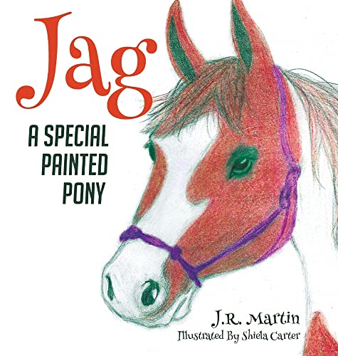 Jag: A Special Painted Pony