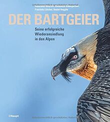 Der Bartgeier: Seine erfolgreiche Wiederansiedlung in den Alpen