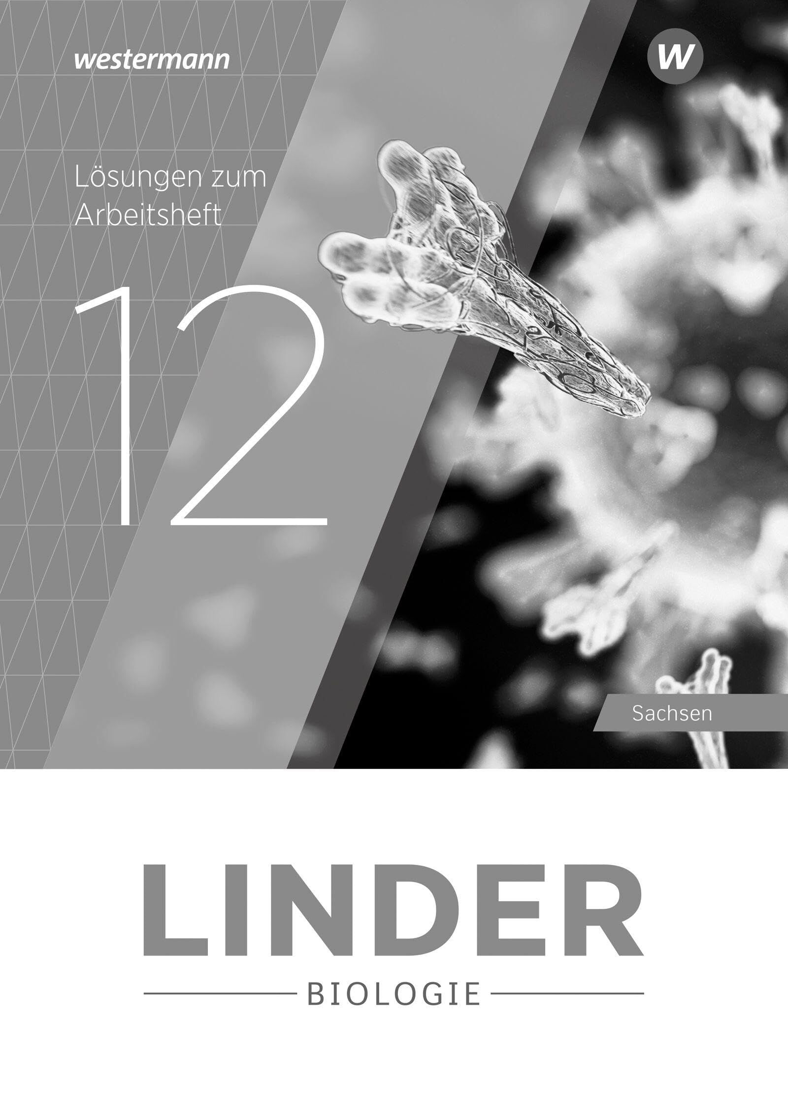 LINDER Biologie SII. Lösungen zum Arbeitsheft 12. Für Sachsen