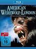 American Werewolf in London [Blu-ray]