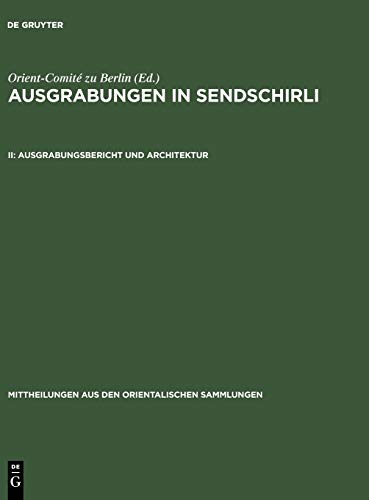 Ausgrabungsbericht und Architektur (Mittheilungen aus den orientalischen Sammlungen, 12, Band 12)