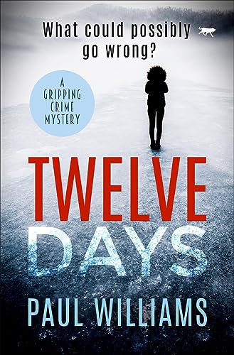 Twelve Days: a gripping crime mystery