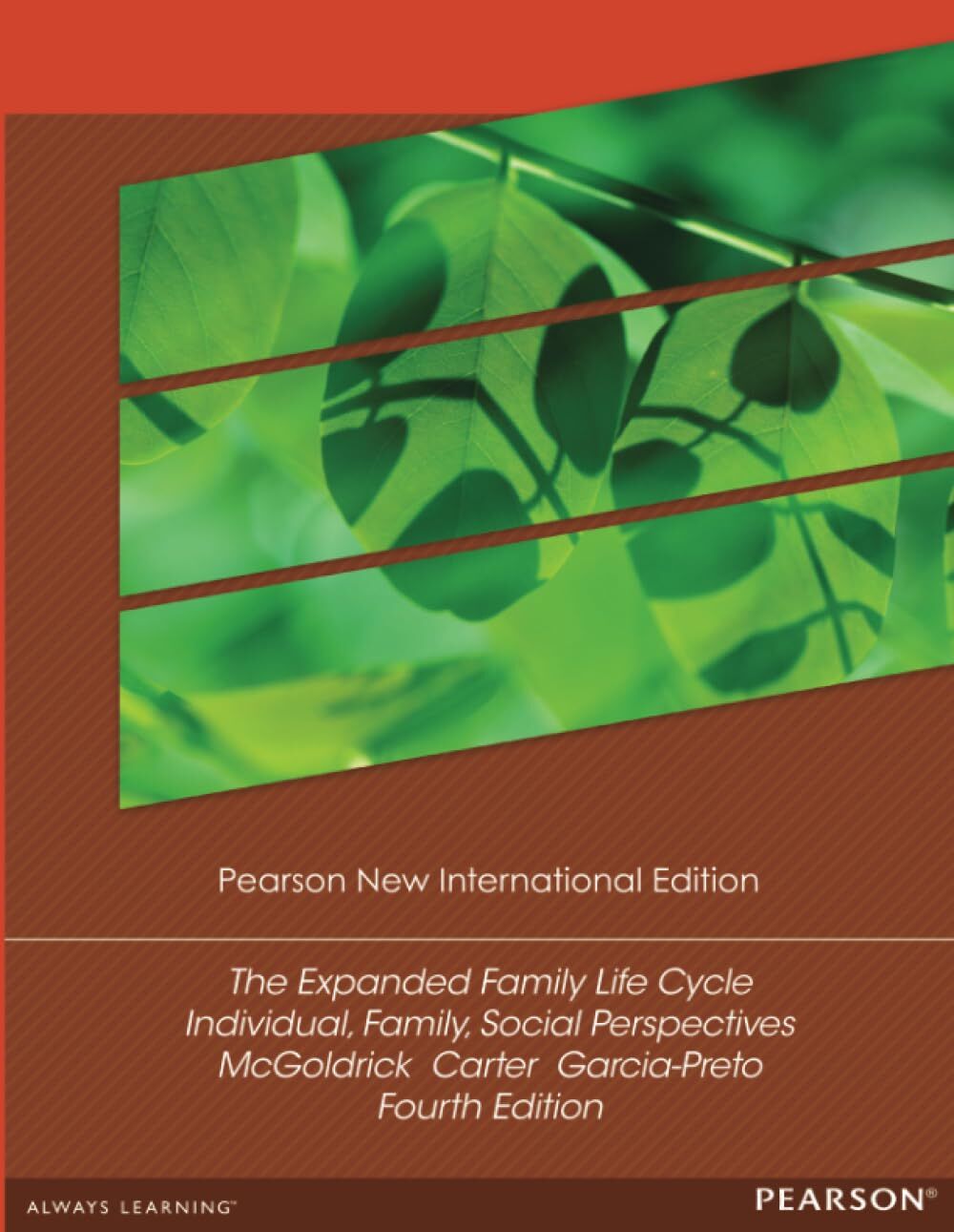 Expanded Family Life Cycle, The: Individual, Family, and Social Perspectives: Individual, Family, and Social Perspectives