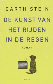 De kunst van het rijden in de regen