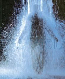 Bill Viola