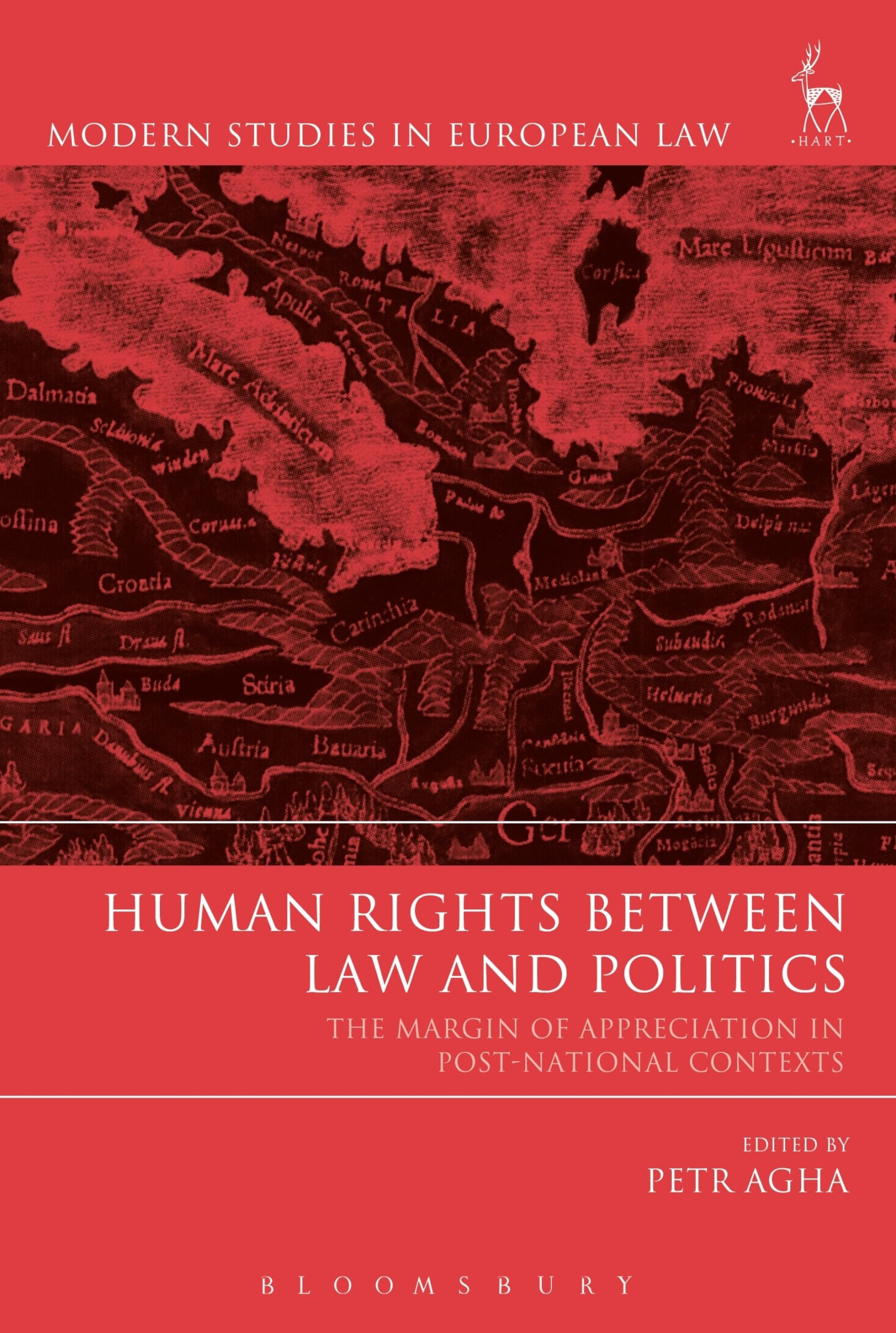 Human Rights Between Law and Politics: The Margin of Appreciation in Post-National Contexts (Modern Studies in European Law)