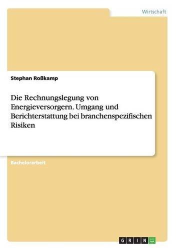 Die Rechnungslegung von Energieversorgern. Umgang und Berichterstattung bei branchenspezifischen Risiken