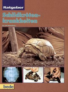 Ratgeber Schildkrötenkrankheiten