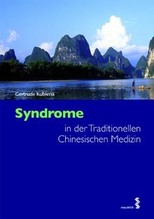 Syndrome in der Traditionellen Chinesischen Medizin