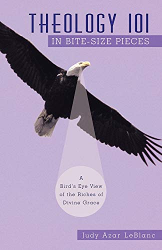 Theology 101 in Bite-Size Pieces: A Bird's Eye View of the Riches of Divine Grace