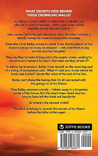 FIND HIS GRAVE a totally gripping crime thriller full of twists (Detective Chris Bailey)