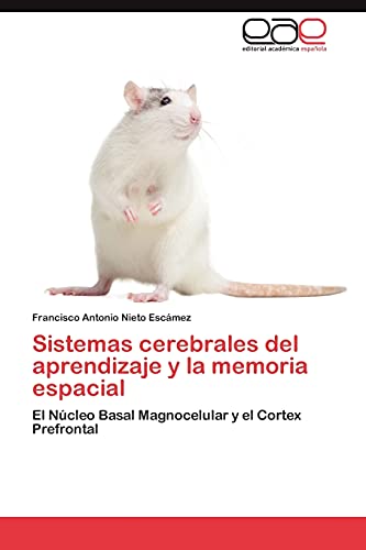 Sistemas cerebrales del aprendizaje y la memoria espacial: El Núcleo Basal Magnocelular y el Cortex Prefrontal