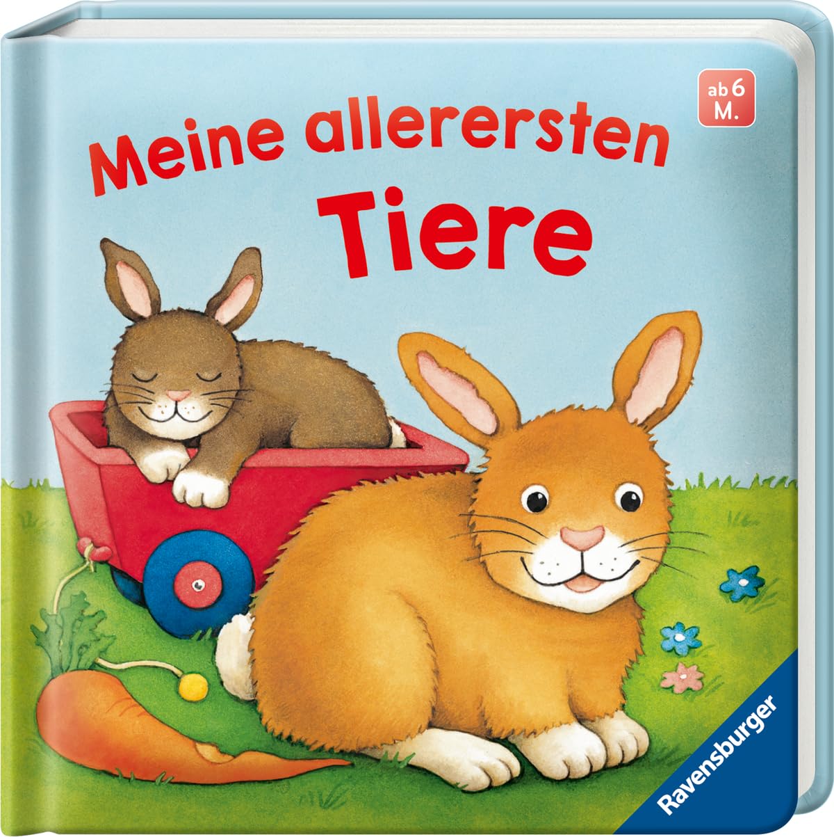 Meine allerersten Tiere: Kinderbuch ab 6 Monaten, Baby-Buch, Baby Geschenk
