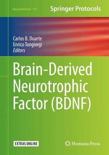 Brain-Derived Neurotrophic Factor (BDNF) (Neuromethods, Band 143)