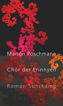 Chor der Erinnyen: Roman | Die Parallelgeschichte zum Bestseller »Die Kieferninseln«