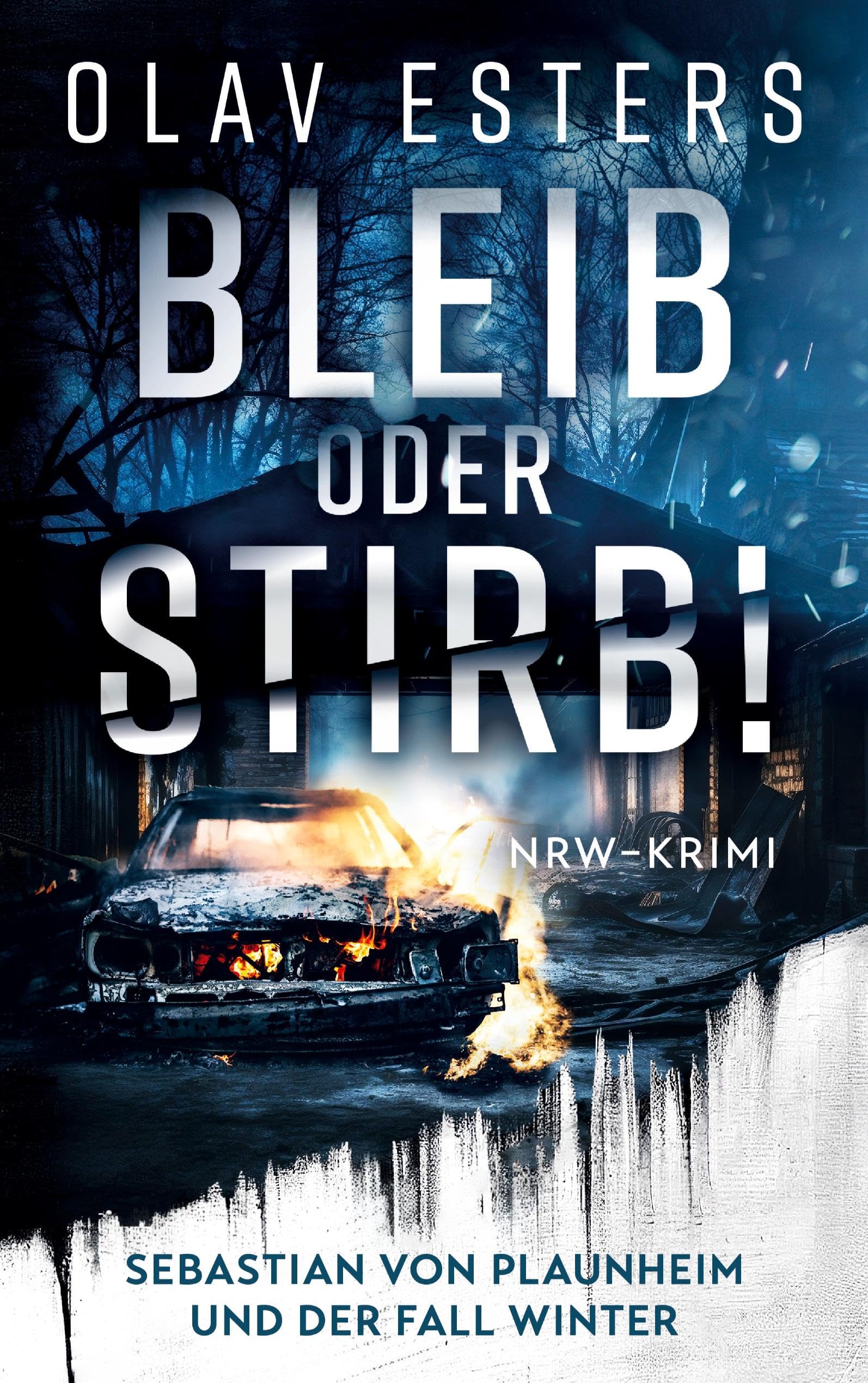 Bleib oder stirb!: Sebastian von Plaunheim und der Fall Winter (Ein Fall für Sebastian von Plaunheim)