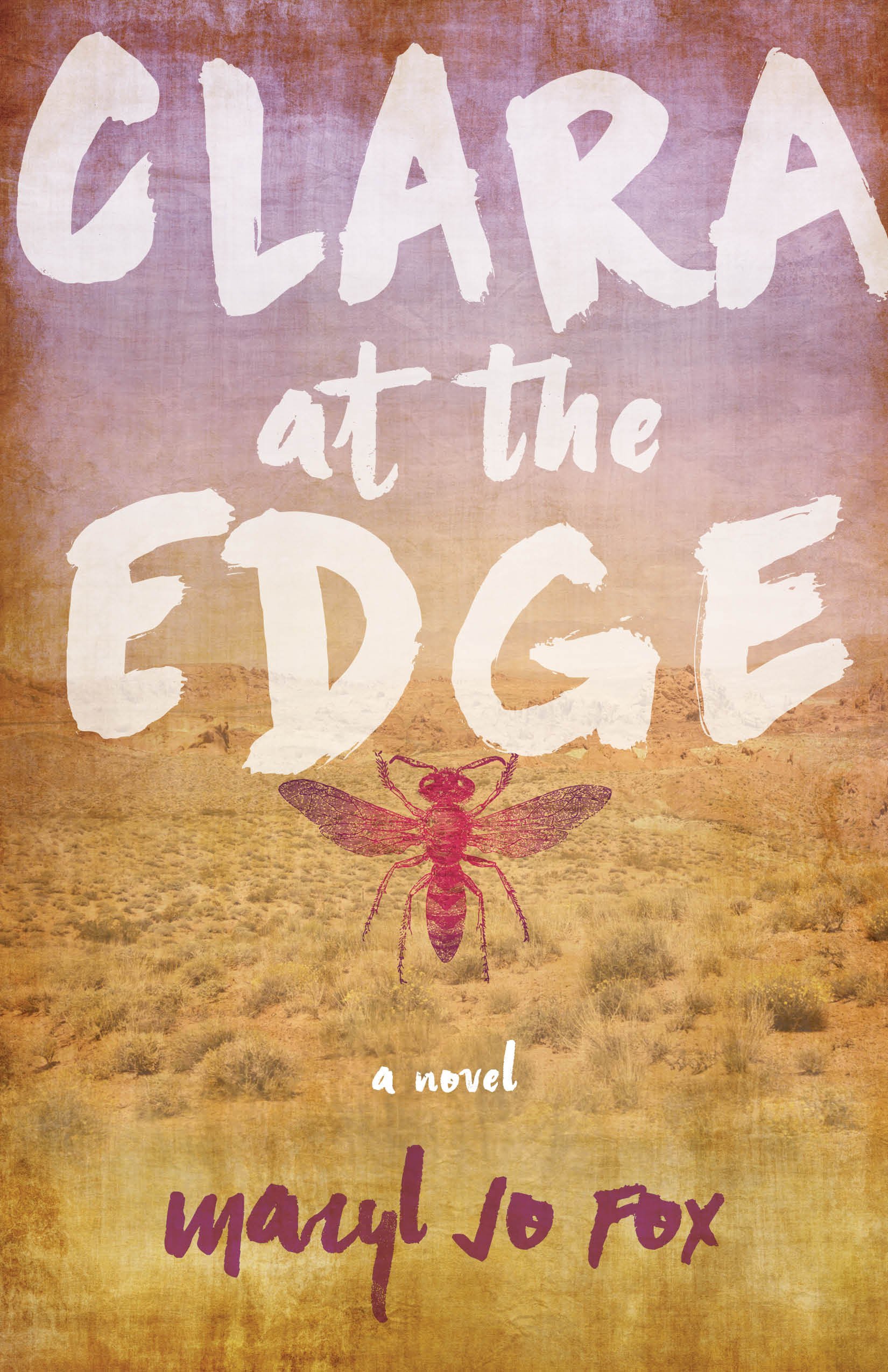 Clara at the Edge: A Novel